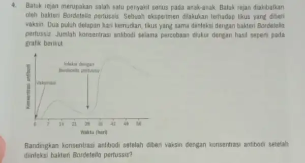 4. Batuk rejan merupakan salah satu penyakit serius pada anak-anak. Baluk rejan diakbatkan oleh bakteri Bordetella pertussis Sebuah eksperimen dilakukan terhadap tikus yang diberi