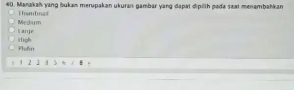 40. Manakah yang bukan merupakan ukuran gambar yang dapat dipilih pada saat menambahkan Thumbnail Medium large High Plufin