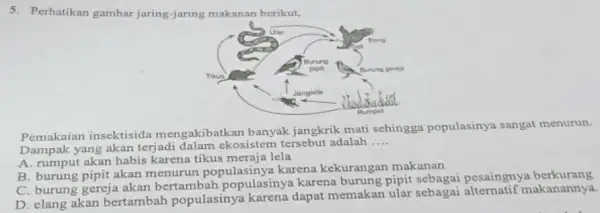 5. Perhatikan gambar jaring-jaring makanan berikut, Pemakaian insektisida mengakibatkan banyak jangkrik mati sehingga populasinya sangat menurun. Dampak yang akan terjadi dalam ekosistem tersebut adalah