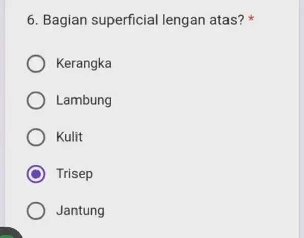 6. Bagian superficial lengan atas? Kerangka ) Lambung Kulit C Trisep Jantung