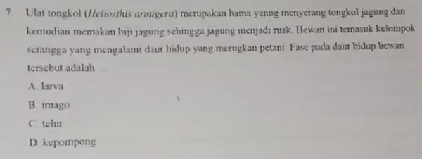 7. Ulat tongkol (Heliosthis armigera) merupakan hama yanng menyerang tongkol jagung dan kemudian memakan biji jagung schingga jagung menjadi rusk Hewan ini temasuk kelompok