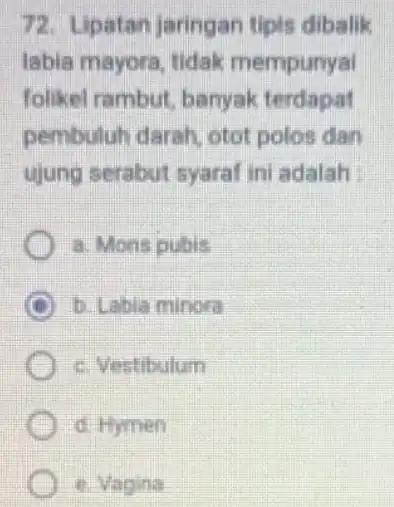 72. Lipatan jaringan tipis dibalik labia mayora, tidak mempunyai folikel rambut banyak terdapat pembuluh darah otot polos dan ujung serabut syaral ini adalah a.