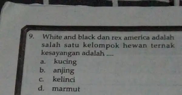 9. White and black dan rex america adalah salah satu kelompok hewan ternak kesayangan adalah __ a. kucing b. anjing c. kelinci d. marmut