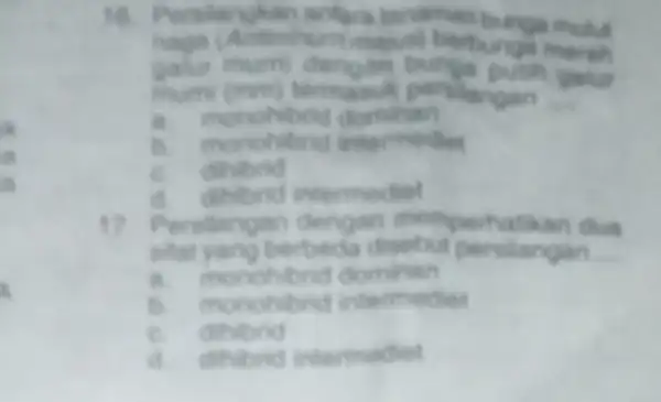 a i li antara tanaman mumi (mm) termasuk perilangan __ murry berbunga monohibrid dominan monohitrid intermediat c dihbrid cs dihibrid intermediet 1? dengan memperha