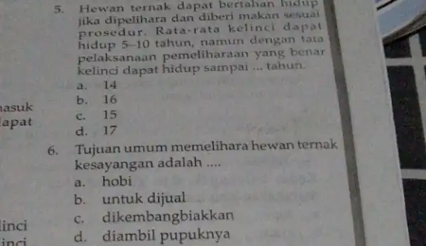 asuk apat inci 5. Hewan ternak dapat bertahan hidup jika dipelihara dan diberi sesuai prose dur. Rata-rata kelinci dapat hidup 5-10 tahun, namun dengan