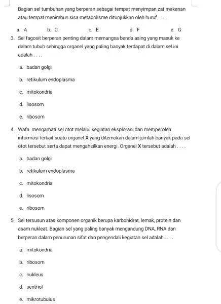 Bagian sel tumbuhan yang berperan sebagai tempat menyimpan zat makanan atau tempat menimbun sisa metabolisme ditunjukkan oleh huruf __ a. A b. C c.