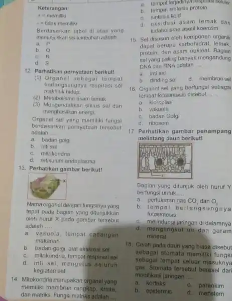 Keterangan: +=memiliki =tidak memiliki Berdasarkan tabel di atas yang menunjukkan seltumbuhan adalah __ a. P b. 0 c. R d. S 12. Perhatikan pernyataan