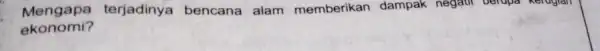 Mengapa terjadinya bencana alam memberikan dampak negatif berupa Kerugian ekonomi?