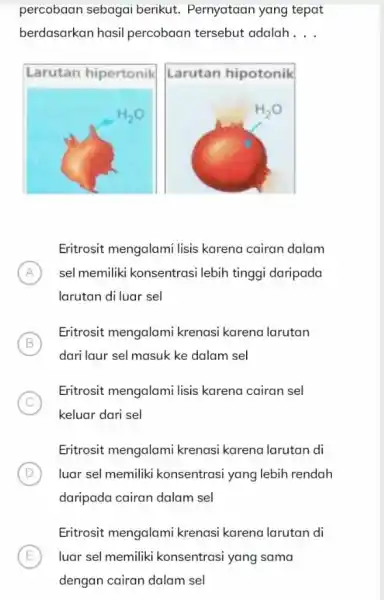 percobaan sebagai berikut. Pernyataan yang tepat berdasarkan hasil percobaan tersebut adalah __ Eritrosit mengalami lisis karena cairan dalam A sel memiliki konsentrasi lebih tinggi