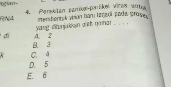 RNA di k 4. membentuk virion baru terjadi pada proses Perakitar partikel-partikel virus untuk yang ditunjukkan oleh nomor. __ A. 2 B. 3 C.