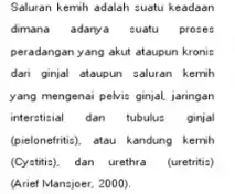 Saluran kemih adalah suatu keadaan dimana adanya suatu proses peradangan yang akut ataupun kronis dari ginjal ataupun saluran kemih yang mengenai pelvis ginjal jaringan