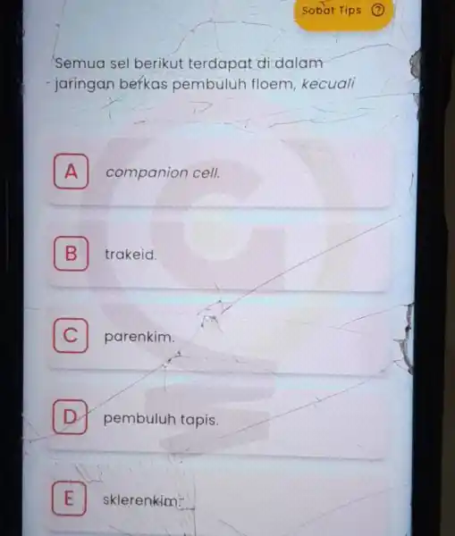 Semua sel berikut terdapat di dalam jaringan berkas pembuluh floem, kecuali A companion cell. A B trakeid. C I parenkim. D pembuluh tapis. E