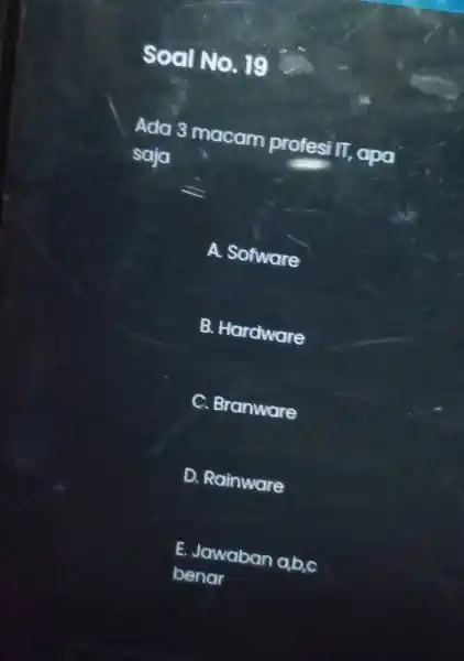 Soal No . 19 Ada 3 macam profesi II. apa saja A. Sofware B. Hardware C. Branware D. Rainware E. Jawaban abc benar