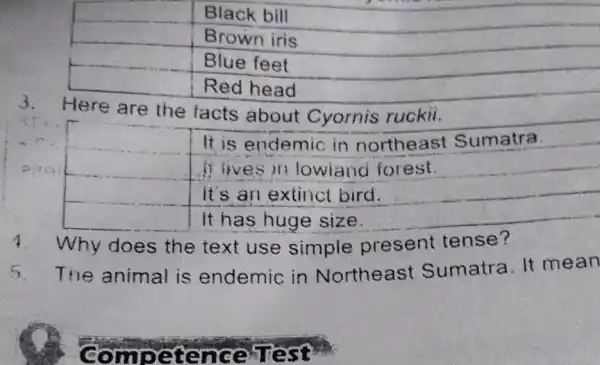 square square square square 3. Here are the facts about Cyornis ruckii. square square square square 4 Why does the text use simple present