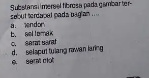 Substansi intersel fibrosa pada gambar ter- sebut terdapat pada bagian __ a. tendon b. sel lemak c. serat saraf d. selaput tulang rawan laring