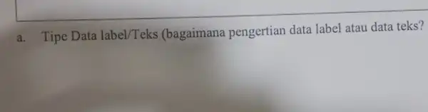 a. Tipe Data label/Teks (bagaimana pengertian data label atau data teks?