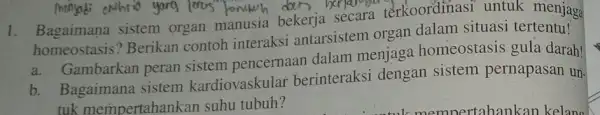 1. Bagaimana sistem organ manusia bekerja secara terkoordinasi untuk menjaga homeostasis ? Berikan contoh interaksi antarsistem organ dalam situasi tertentu! a. Gambarkan peran sistem