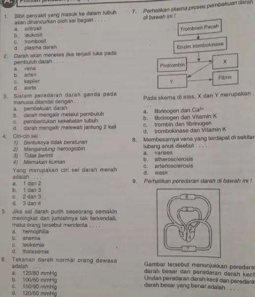 1. Bibit penyakit yang masuk ke dalam tubuh akan dihancurkan oleh sel bagian..... a. eritrosit b. leukosit c. trombosit d. plasma darah 2. Darah