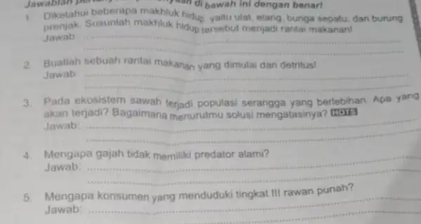 1. Diketahui beberapa makhluk hidup, yaitu ulat, elang, bunga sepatu, dan burung Jawab: __ 2. Buatlah sebuah rantai makanan yang dimulai dari detritus! Jawab: