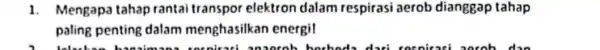 1. Mengapa tahap rantai transpor elektron dalam respirasi aerob dianggap tahap paling penting dalam menghasilkan energi!