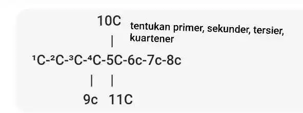 10C tentukan primer,sekunder, tersier, 10C_(tontues) 1C_(1)^2C_(-)^2C-4C-5C-6C-7C-8C 9_(C)11C