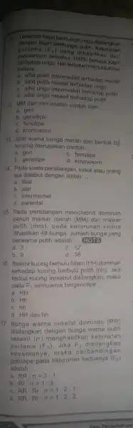 11. Tanaman kapri berbunga ungu disilangkan pertama (F_(1)) yang dihasilka dari dengan kapri berbunga puth. Kelangkan persilangar tersebut 100% beruan dari bahwa __ berbunga