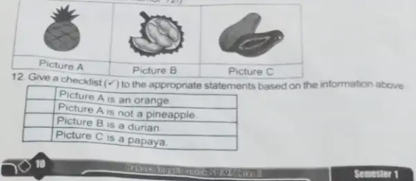 12. Give a checklist (checkmark) to the appropriate statements based on the information above & Picture A is an orange & Picture A is