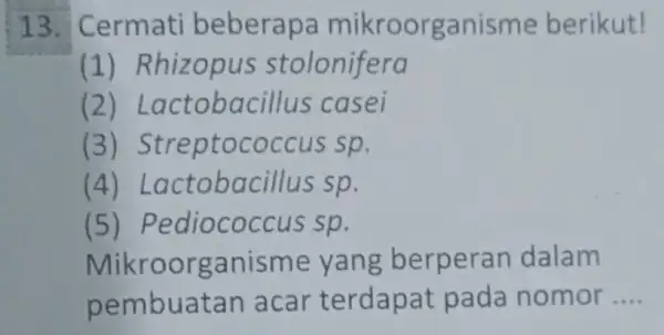 13. Cermati beberapa mikroorganisme berikut! (1) Rhizopus stolonifera (2) Lactobac illus casei (3) Streptococcus sp. (4) L actobac illus sp. (5) Pedi iococcus sp.