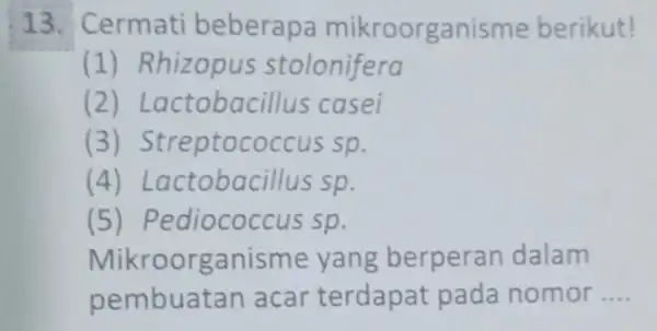 13. Cermati beberapa mikroorganisme berikut! (1) Rhizopus stolonifera (2) L actobac illus casei (3) Streptococcus sp. (4) L actobacillus sp. (5) Pedi ococcus sp.