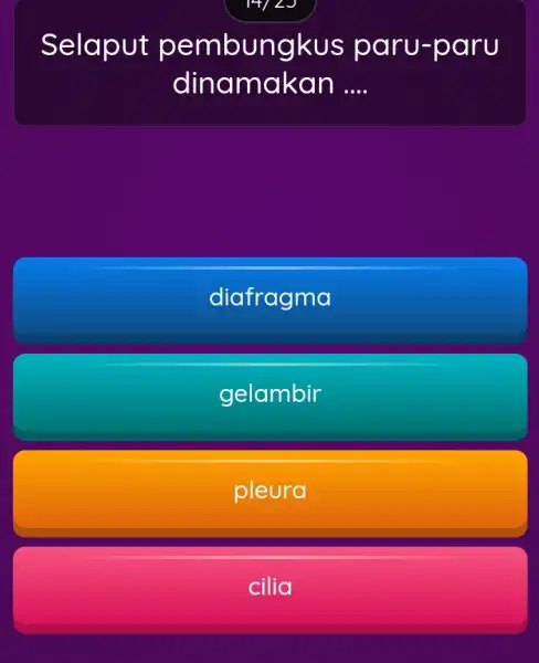 14/2J Selaput pembun aru-p aru dinamakan __ diafragma gelambir pleura cilia