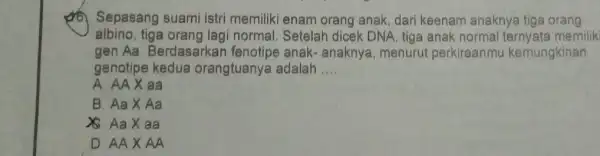 (15) Sepasang suami istri memiliki enam orang anak, dari keenam anaknya tiga orang albino,tiga normal. Setelah dicek DNA, tiga anak normal ternyata memilik gen