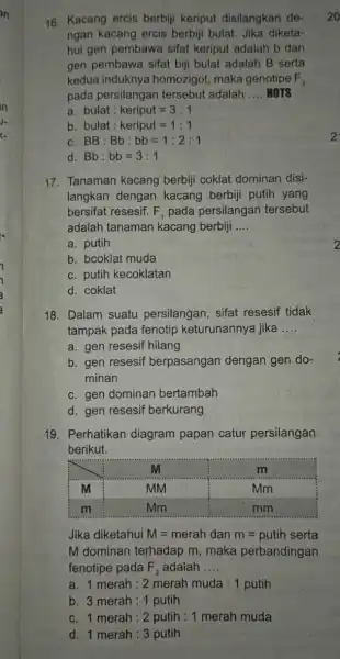 16. Kacang ercis berbiji keriput disilangkan de- ngan kacang ercis berbiji bulat. Jika diketa- hui gen pembawa sifat keriput adalah b dan gen pembawa