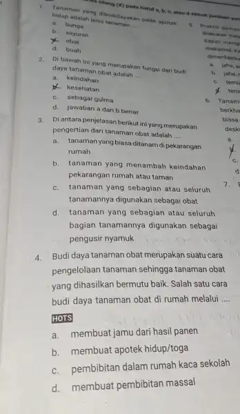 2. Di bawah ini yang merupakan fungsi dari budi daya tanaman obat adalah __ a. keindahan D. kesehatan c. sebagai gulma d. jawaban a