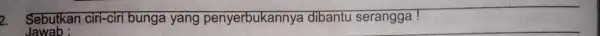 2. Sebutkan ciri-ciri bunga yang penyerbukannya dibantu serangga! Jawab :