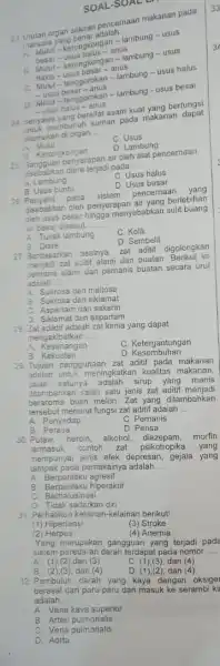 23. Unutan organ saluran pelalan makanan pada manusia yang benar adalah __ ng bengkongan-lambung -usus anus A. pesar-kerongkongan-lambung - usus Mulut-usus besar-anus C. Mulut-tenggorokan