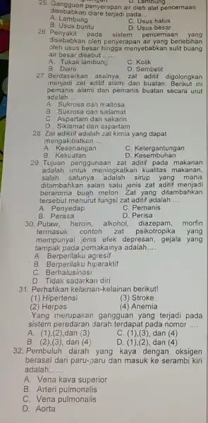 25. Gangguan penyerapan air oleh alat pencernaan nghiệm D. Lambung disebabkan diare terjadi pada __ A. Lambung C. Usus halus D. Usus besar B.