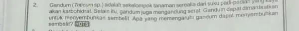 2. Gandum (Triticum sp.) adalah akan karbohidrat.sp.) adalah sekelompok tanaman serealia dari suku padi-padian yang Kaya untuk menyembuhkan sembelit. Apa yang memengaruhi gandum dapat