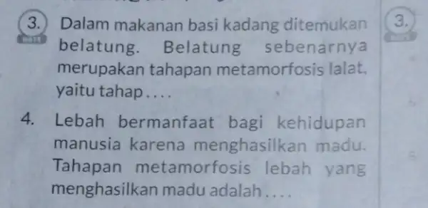 3. Dalam makanan basi kadang ditemukan belatung . Belatung sebenarnya merupakan tahapan metamorfosis lalat, yaitu tahap __ 4. Lebah bermanfaat bagi kehidupan manusia karena