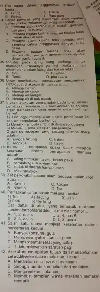 33. Pita suara dalam tenggoroikan terdapat bagian __ C. Trakea B. Faring D. Paru-paru 34. Bahan pewarna yang disarankan untuk dipakai dalam produk makanan