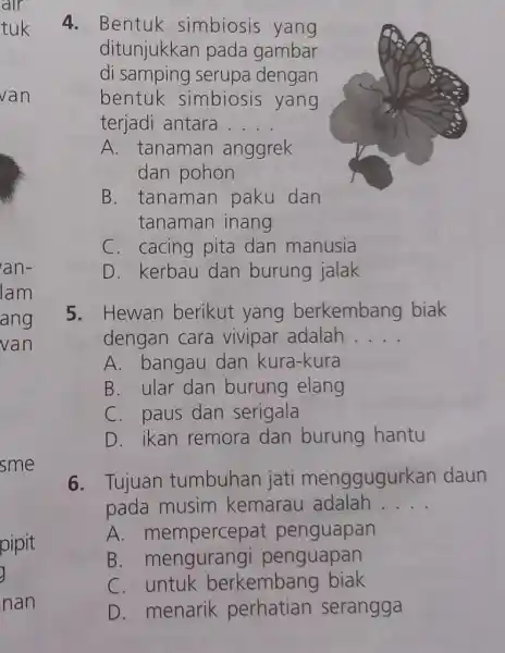 4. Bentuk simbiosis yang ditunjukkan pada gambar di samping serupa dengan bentuk simbiosis yang terjadi antara __ A. tanaman anggrek dan pohon B. tanaman