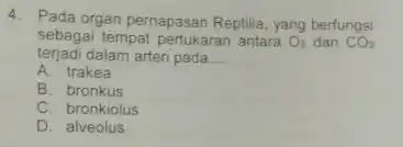 4. Pada organ pernapasan Reptilia yang berfungsi sebagai tempat pertukaran antara O_(2) dan CO_(2) terjadi dalam arteri pada __ A. trakea B. bronkus C.