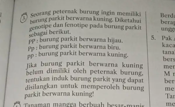 (5) Seorang peternak burung ingin memiliki burung parkit berwarna kuning. Diketahui genotipe dan fenotipe pada burung parkit sebagai berikut. PP: burung parkit berwarna hijau.