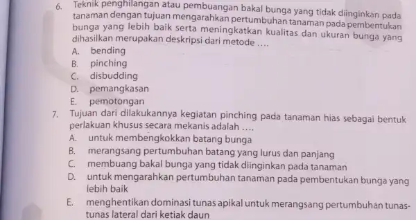 6. Teknik penghilangan atau pembuangan bakal bunga yang tidak diinginkan pada tanaman dengan tujuan mengarahkan pertumbuhan tanaman pada pembentukan bunga yang lebih baik serta