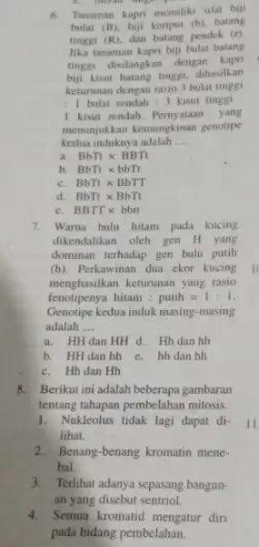 6.Tanaman kapri memiliki sifat biji bulat (B), biji keriput (b), batang tinggi (R), dan batang pendek (r) Jika tanaman kapri biji bulat batang tinggi