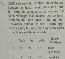 7. (सण्ति) Eritroblastosis fetalis dapat dicegah dengan pemberian injeksi RhoGarn pada ibu yang dapat menghancurkan eritrosit janin sehingga tidak memicu pembentukan antibodi ibu, dan