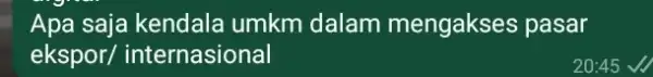 Apa saja kendala umkm dalam mengakses pasar ekspor/ internasional 20:45 √//