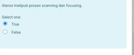 Atensi meliputi proses scanning dan focusing. Select one: True False