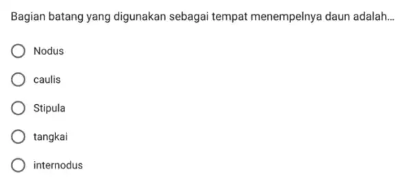 Bagian batang yang digunakan sebagai tempat menempelnya daun adalah __ Nodus caulis Stipula tangkai internodus