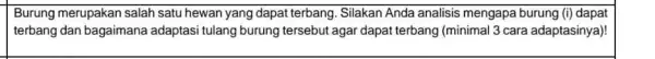 Burung merupakan salah satu hewan yang dapat terbang. Silakan Anda analisis mengapa burung (i) dapat terbang dan bagaimana adaptasi tulang burung tersebut agar dapat