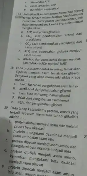 c. etanol dan ATP d. asam laktat dan ATP e. etanol dan asam laktat 18. Roti dihasilkan fermentasi terigu dengan memanfaatkan Saccharomyces cerevisioe. Pada